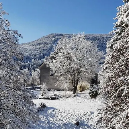 Galle 3* ארנולדשטיין